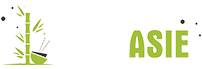 FOOD ASIE